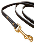Premium Leather Leash 1/2"