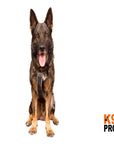 EQDog Pro Harness