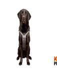 EQDog Pro Harness