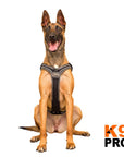 EQDog Pro Harness