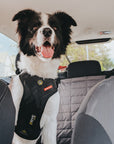 Drive Car Harness - EZY DOG