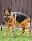 KONG Extreme Ball w/Rope