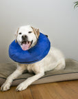 KONG CLOUD COLLAR
