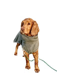 Doggy Dry