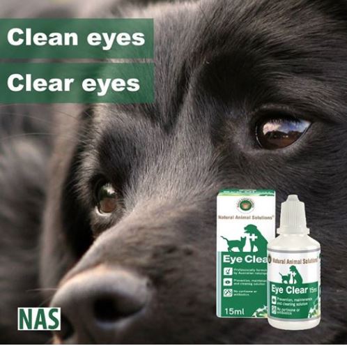 Clear eyes 2024 for dogs