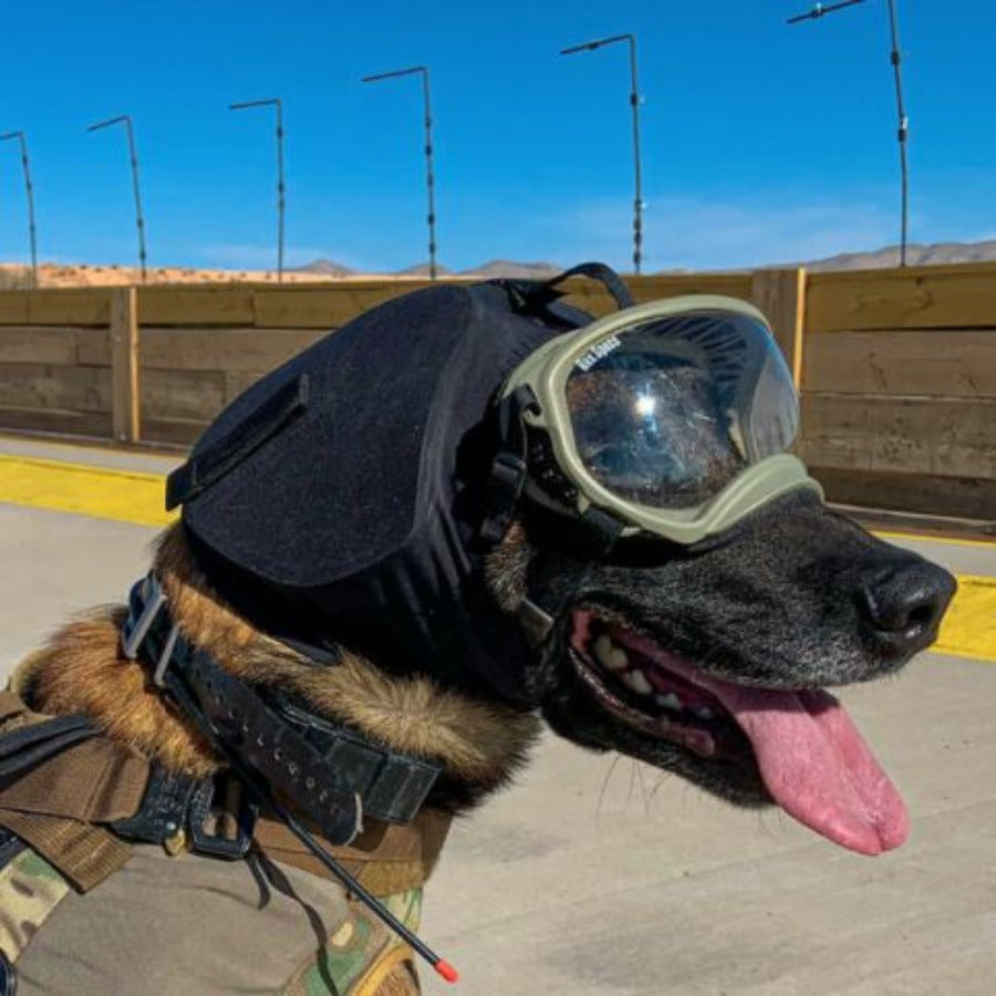 German Shepherd Military Dog Helmet Mask Dog Tactical Helmet Dark