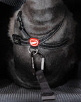 Drive Booster Seat - EZY DOG