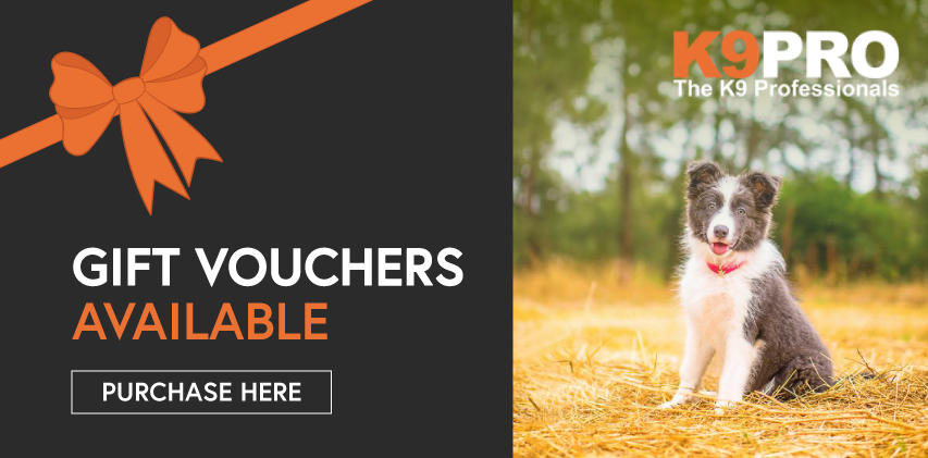 K9 PRO Gift Voucher