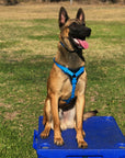 Syntek Harness