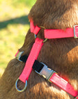 Syntek Harness