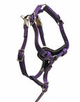 Syntek Harness