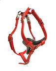 Syntek Harness