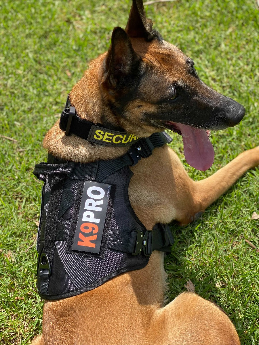 Euro Joe Tactical Harness