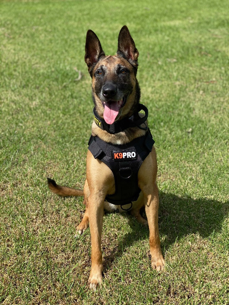 Euro Joe Tactical Harness