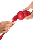 KONG Cleaning Brush