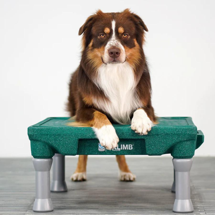 KLIMB Training Platform HUNTER GREEN – K9 Pro The K9 Professionals