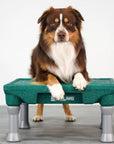 LIMTED EDITION!! KLIMB Training Platform - HUNTER GREEN