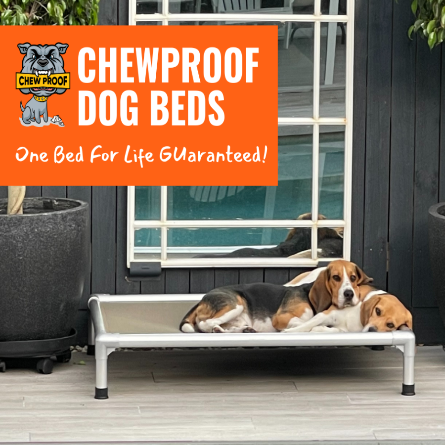 Indestructible dog bed deals lifetime guarantee