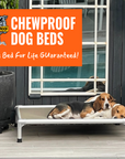 ChewProof Dog Beds