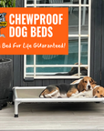 ChewProof Dog Beds 