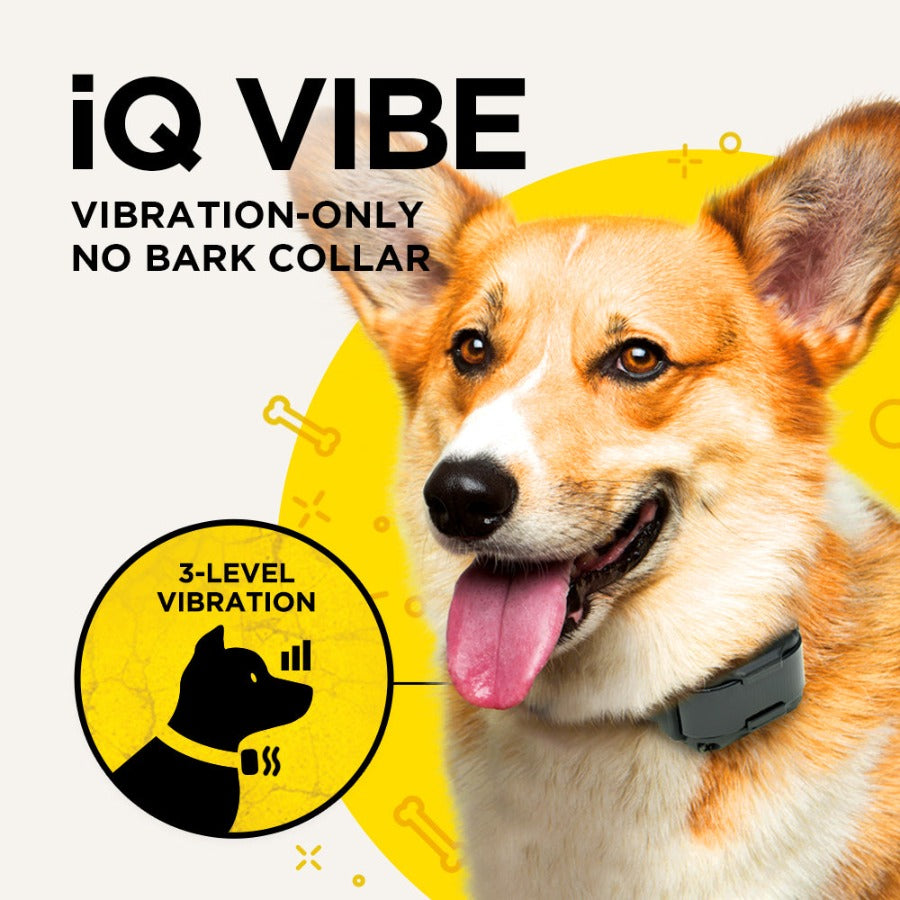DOGTRA IQ Vibe No BarkCollar