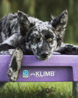 KLIMB Training Platform - PURPLE