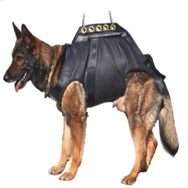 First Mass Transit K9 Training Center (Redline K9 Tactical