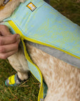 Swamp Cooler Zip Vest