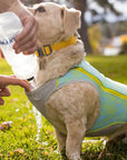 Swamp Cooler Zip Vest