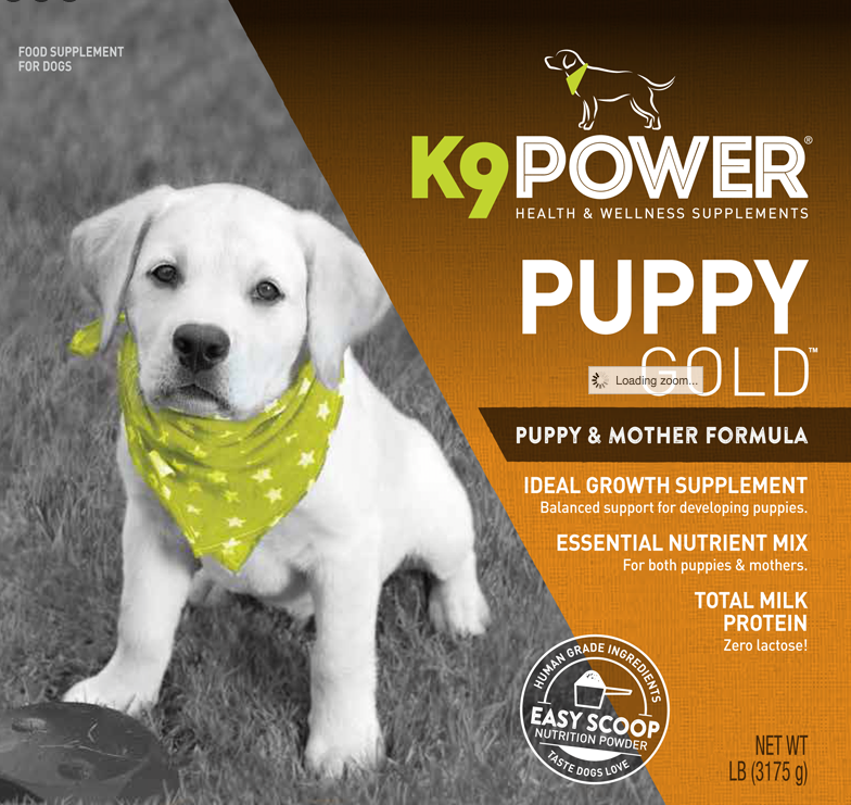 K9 Power Puppy Gold