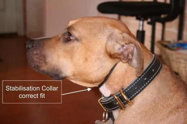Stabilisation Collar