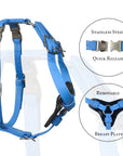 Syntek Harness