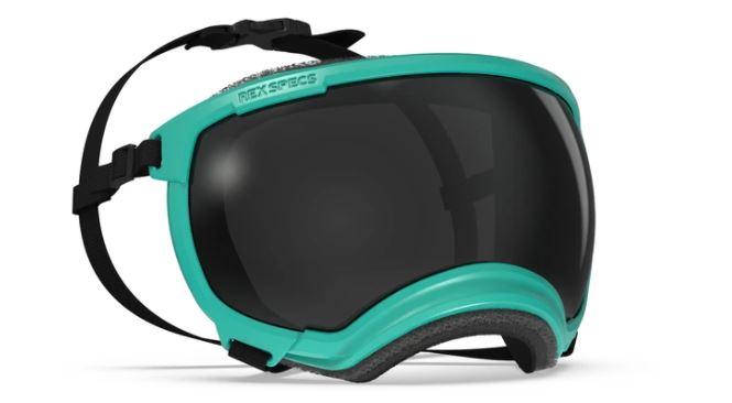 Rex Specs Eyewear -  V2 Goggles