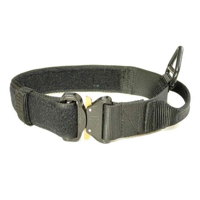 Cobra cheap buckle collar