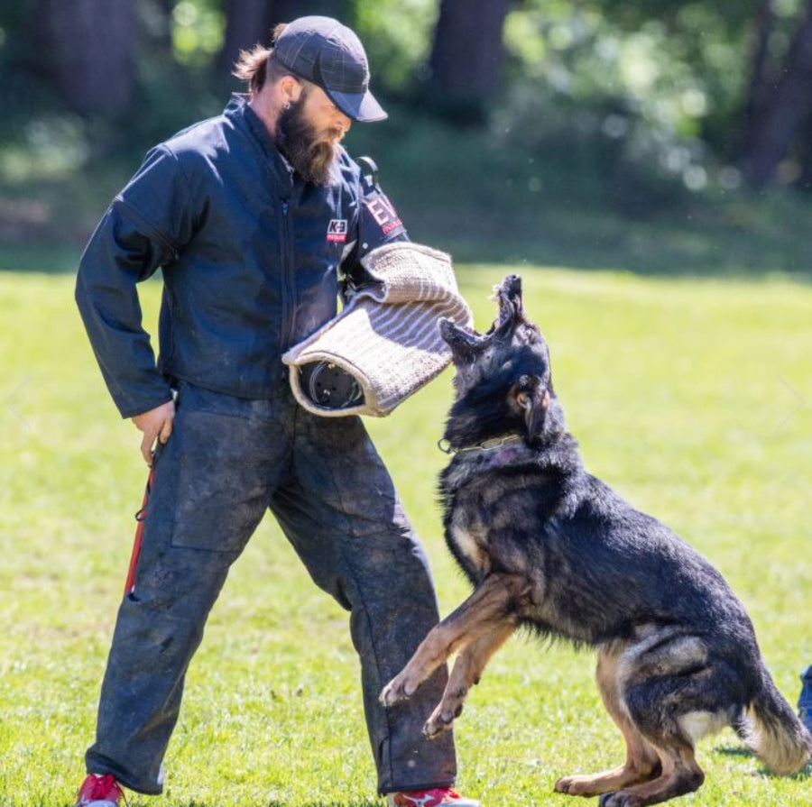 Dog training outlet outfit