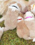 Puppy ID Bands