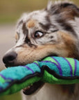 Invincibles Snake 6 Squeaker