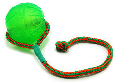 Starmark swing best sale and fling ball