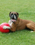 Boomer Ball