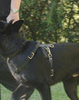 Light Weight Leather Harness