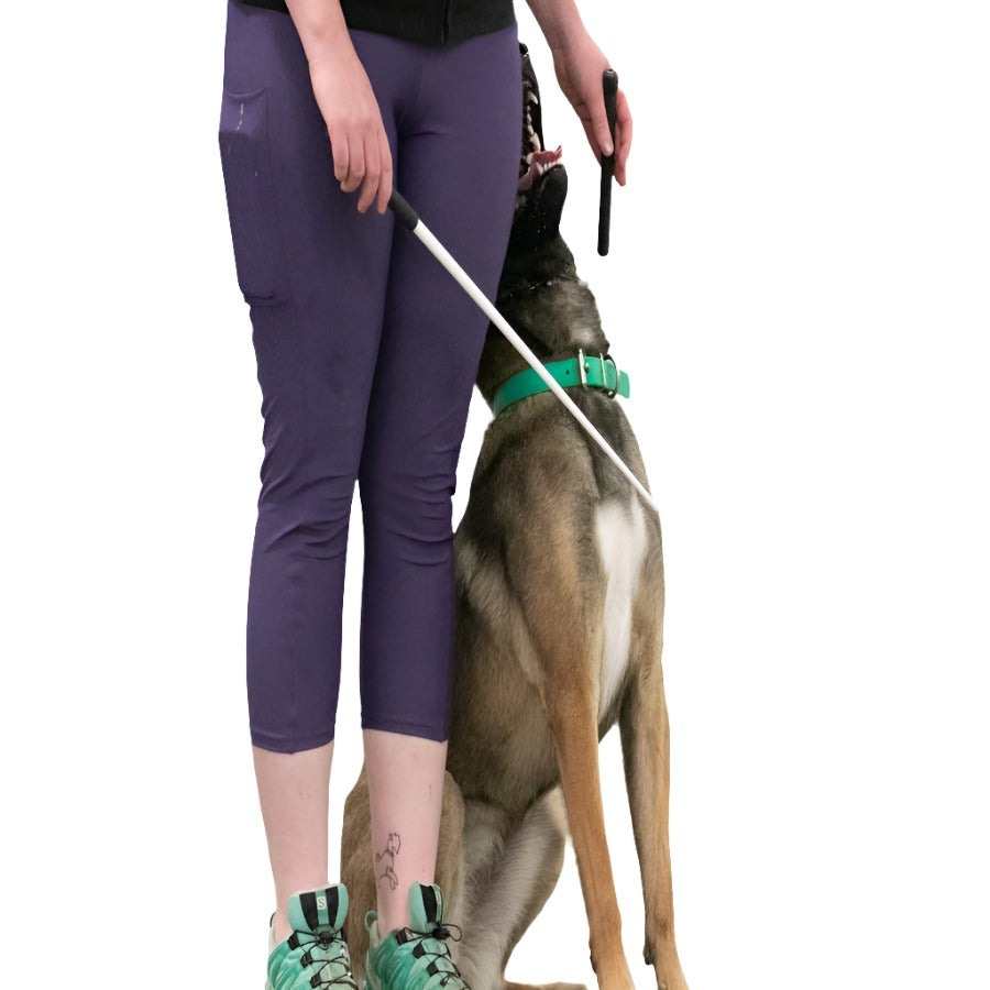 Obedience/Heeling Stick