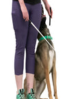 Obedience/Heeling Stick