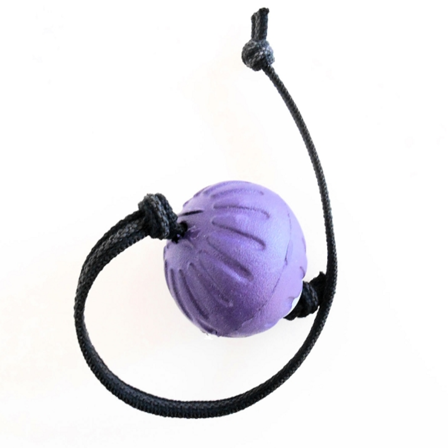 Durafoam balls for 2024 dogs