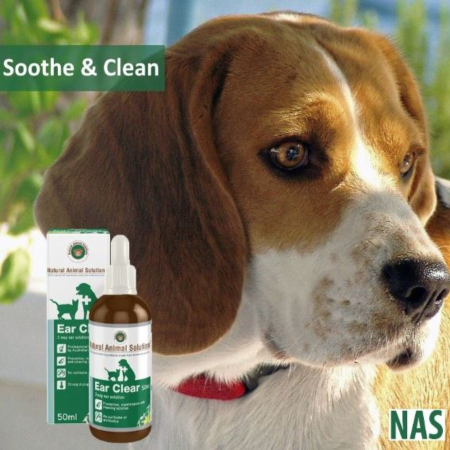 Beagle ear hot sale cleaning solution