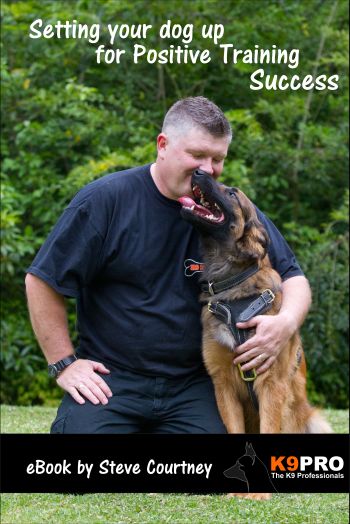 Setting your dog up for Positive Training Success eBook by Steve