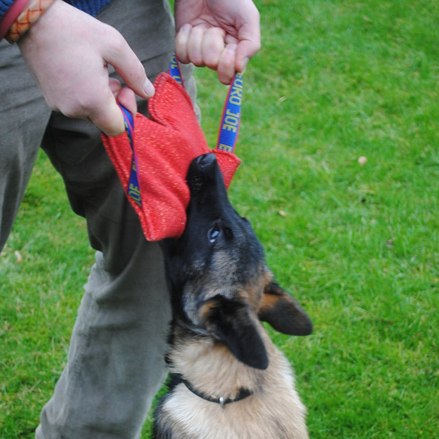 Euro Joe Puppy Bite Pillow K9 Pro Australia – K9 Pro The K9