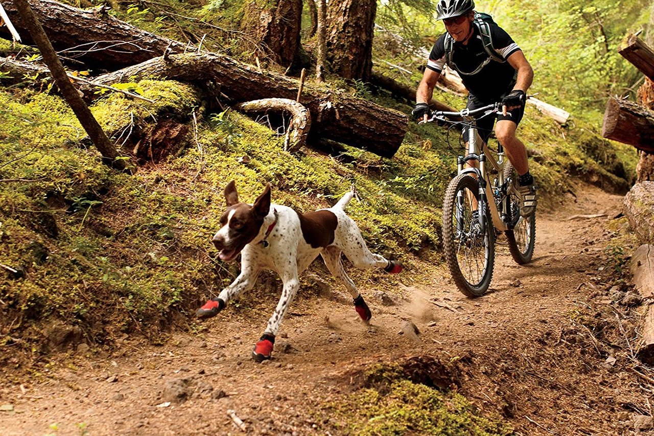 Grip Trex Dog Boots by Ruff Wear  K9 Pro Australia – K9 Pro - The K9  Professionals