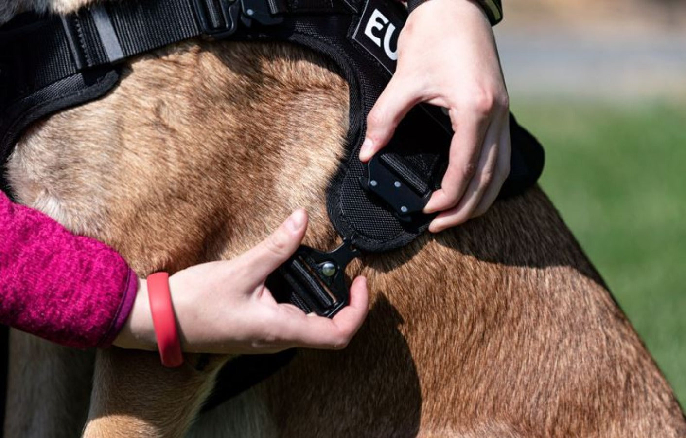 Euro Joe Tactical Harness