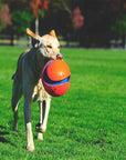ChuckIt! Kick Fetch Ball
