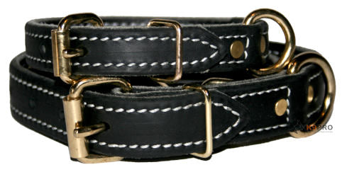 Premium Leather Collar 1&quot;